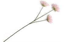 Coco Maison COCO MAISON accessoire Dahlia Spider Spray kunstbloem H75cm Roze